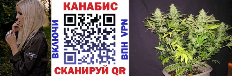 дарнет шоп Мариинск дарк нет телеграм Бошки Шишки White Widow